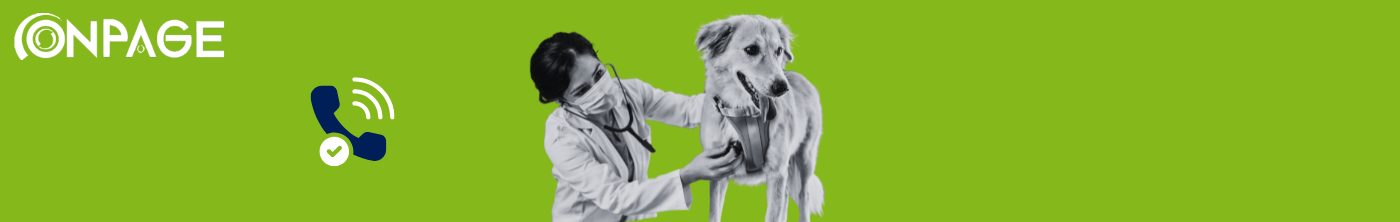On Call Veterinarian