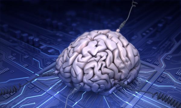 Digital Brain